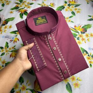 পাঞ্জাবি  5